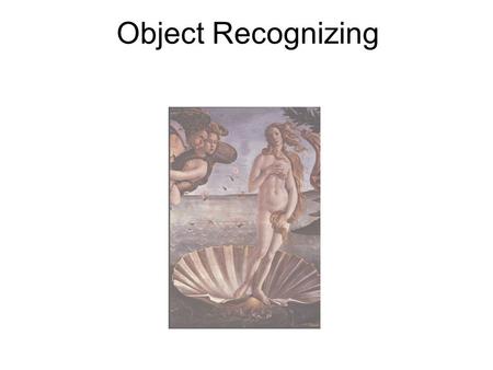 Object Recognizing. Object Classes Individual Recognition.