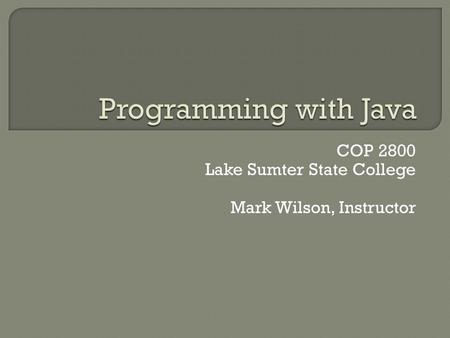 COP 2800 Lake Sumter State College Mark Wilson, Instructor.