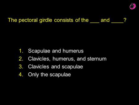 The pectoral girdle consists of the ___ and ____?