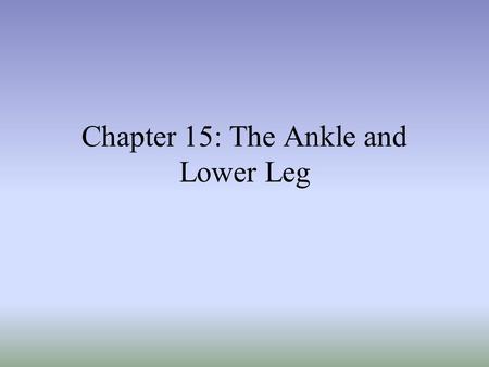 Chapter 15: The Ankle and Lower Leg