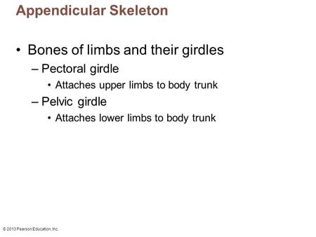 Appendicular Skeleton