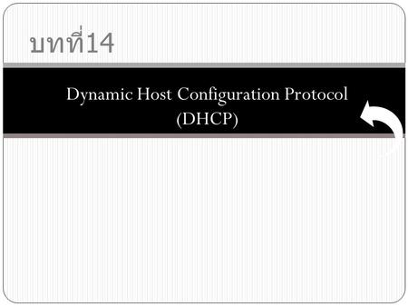 Dynamic Host Configuration Protocol (DHCP)