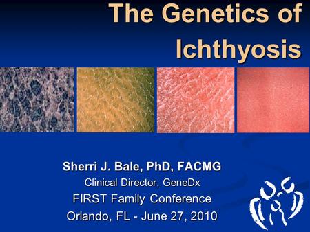 The Genetics of Ichthyosis Sherri J. Bale, PhD, FACMG Clinical Director, GeneDx FIRST Family Conference Orlando, FL - June 27, 2010.