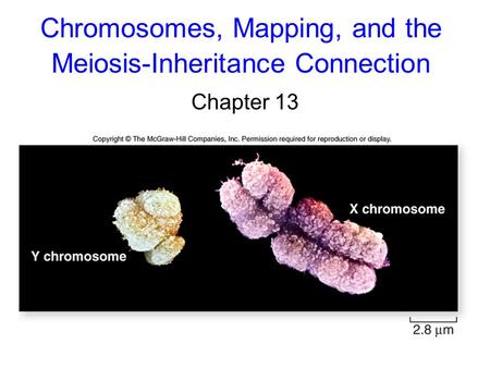 Chromosomes, Mapping, and the Meiosis-Inheritance Connection