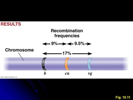 Fig. 15.11. I. I.Linkage and Recombination B. B.Recombination Possible to use recombination frequencies to construct genetic map (linkage map) of genes.