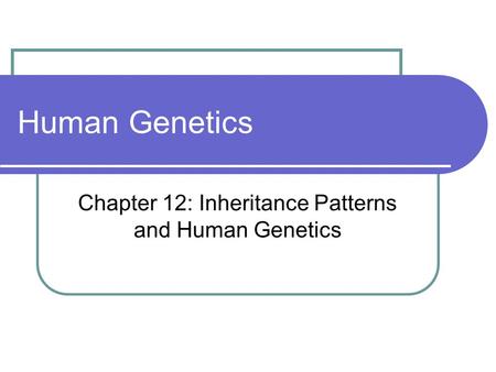 Chapter 12: Inheritance Patterns and Human Genetics