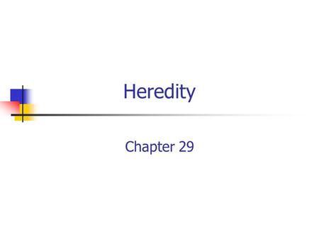 Heredity Chapter 29. Genetics Terminology Chromosome Homologous Chromosome Autosomal chromosomes Sex chromosomes Gene.