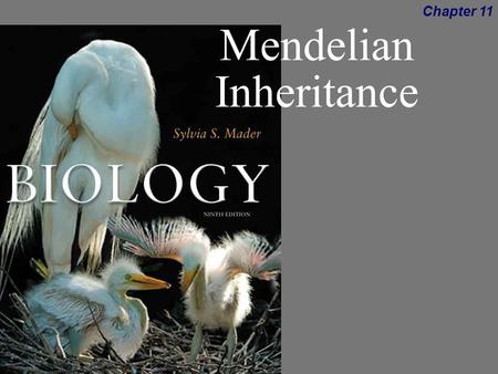 Biology, 9th ed,Sylvia Mader