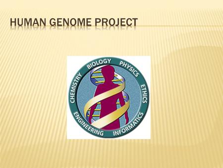 a. DNA is a double helix molecule. b. DNA coils around proteins called histones (similar to spools of thread). c. DNA supercoils itself (like a telephone.