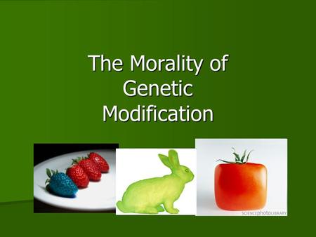 The Morality of Genetic Modification. History of Underlying Science 19 th century- Gregor Mendel discovered fundamental laws of heredity, known now as.