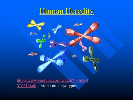 Human Heredity http://www.youtube.com/watch?v=hNMYV213xu0 – video on karyotypes.