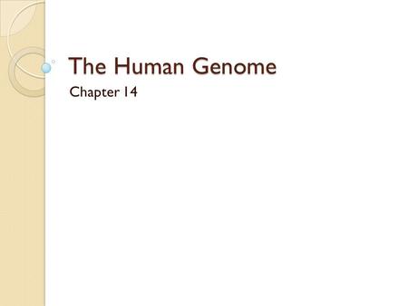 The Human Genome Chapter 14.