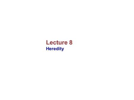 Lecture 8 Heredity.