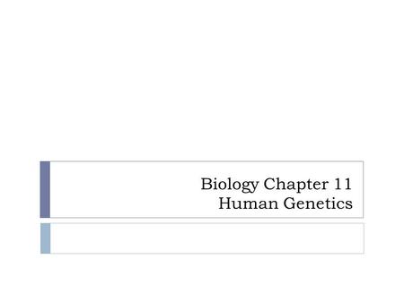 Biology Chapter 11 Human Genetics. Human Genetic Disorders  Can be recessive disorders  In some cases, can be dominant disorders  We are going to look.