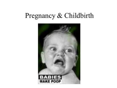 Pregnancy & Childbirth