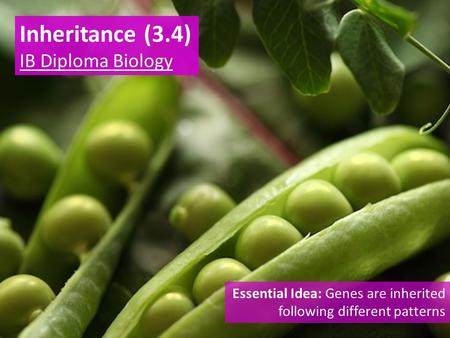 Inheritance (3.4) IB Diploma Biology Essential Idea: Genes are inherited following different patterns.