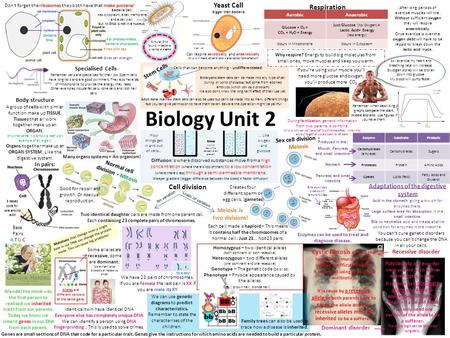 Biology Unit 2 Yeast Cell Respiration Cell division Specialised Cells