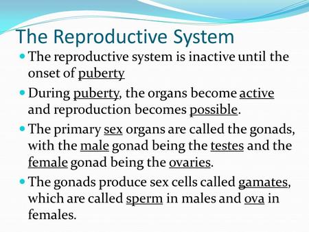 The Reproductive System