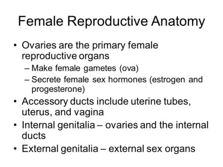 Female Reproductive Anatomy