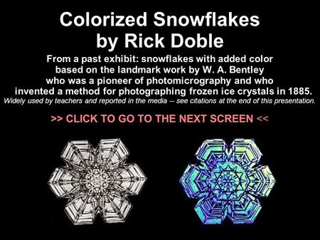 Colorized Snowflakes by Rick Doble From a past exhibit: snowflakes with added color based on the landmark work by W. A. Bentley who was a pioneer of photomicrography.