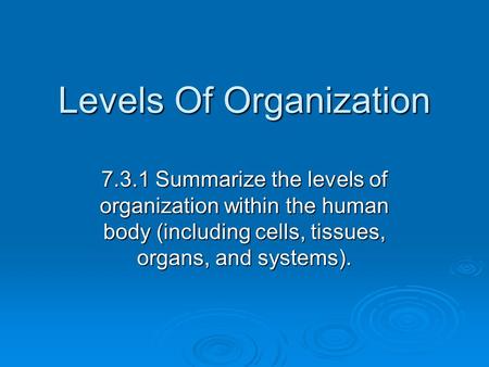 Levels Of Organization