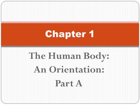 The Human Body: An Orientation: Part A