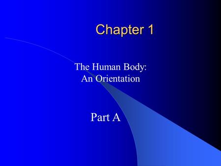 The Human Body: An Orientation