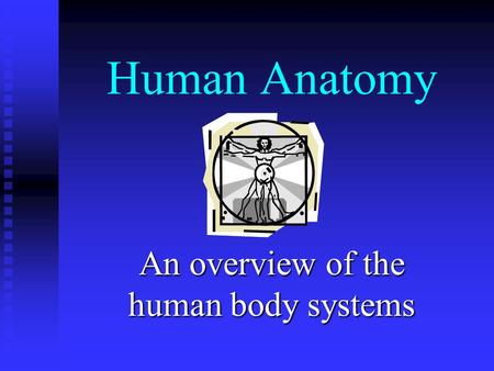 An overview of the human body systems