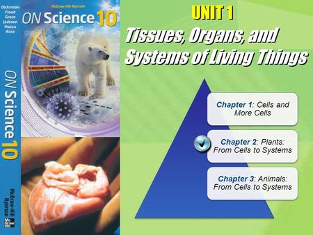 Tissues, Organs, and Systems of Living Things