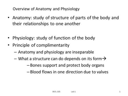 Overview of Anatomy and Physiology