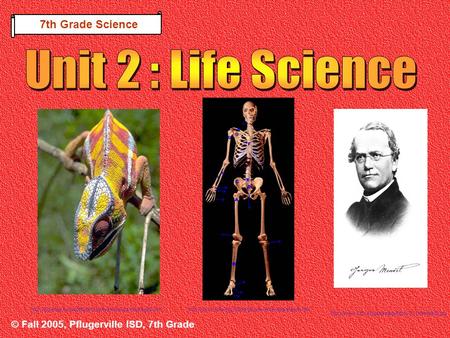 © Fall 2005, Pflugerville ISD, 7th Grade 7th Grade Science