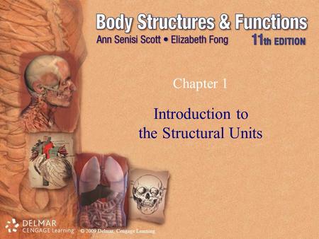 Introduction to the Structural Units