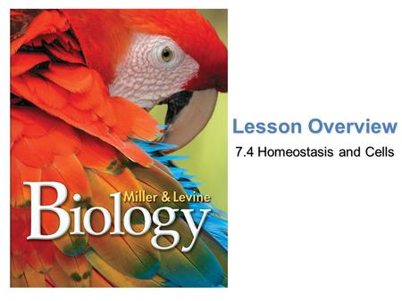 Lesson Overview 7.4 Homeostasis and Cells.