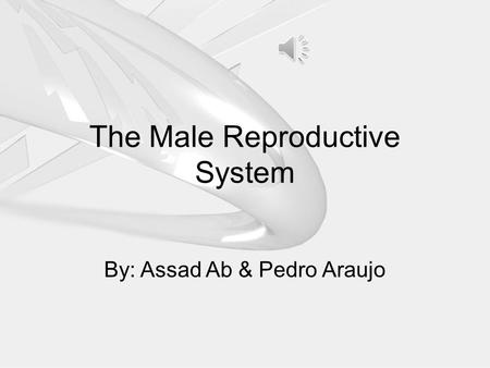 The Male Reproductive System