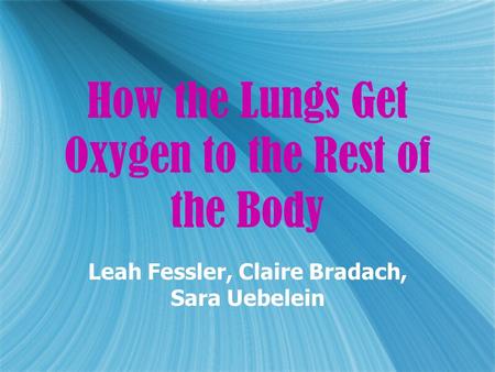 How the Lungs Get Oxygen to the Rest of the Body Leah Fessler, Claire Bradach, Sara Uebelein.