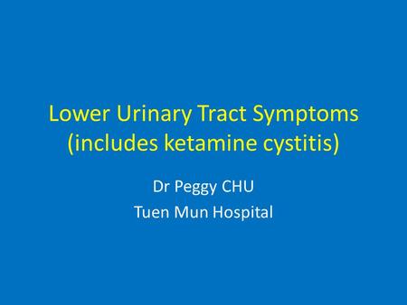 Lower Urinary Tract Symptoms (includes ketamine cystitis) Dr Peggy CHU Tuen Mun Hospital.