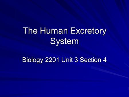 The Human Excretory System