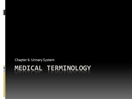 Chapter 6: Urinary System