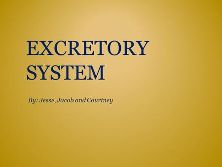 EXCRETORY SYSTEM By: Jesse, Jacob and Courtney. Page 3 The Roll of the Excretory System Page 4 Major Organs Page 5 Organs Working Together Page 6 2 Connected.