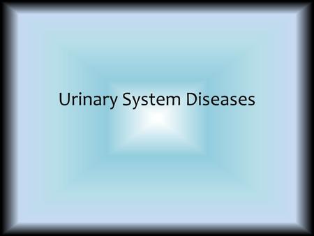 Urinary System Diseases