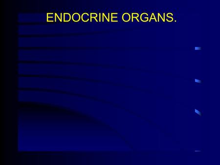 ENDOCRINE ORGANS..