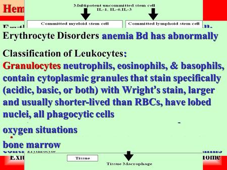 BASIM ZWAIN LECTURE NOTES BASIM ZWAIN LECTURE NOTES Exit Home Hematology Composition of Blood: the body ’ s only fluid tissue, composed of liquid plasma.