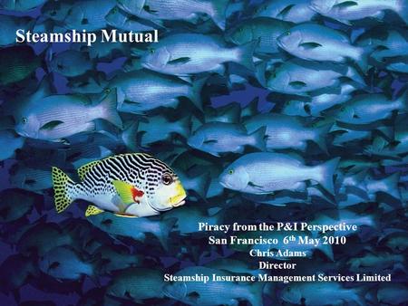Steamship Mutual April 2010 Chris Adams Steamship Mutual Piracy from the P&I Perspective San Francisco 6 th May 2010 Chris Adams Director Steamship Insurance.