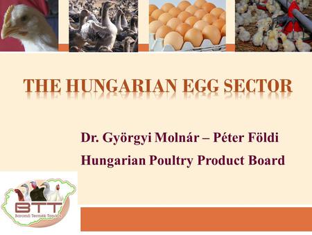 Dr. Györgyi Molnár – Péter Földi Hungarian Poultry Product Board 1.