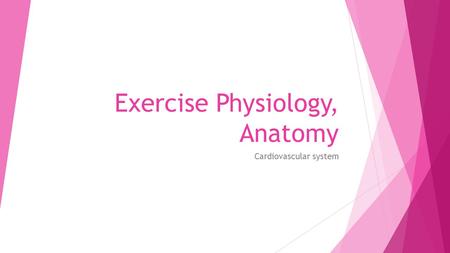 Exercise Physiology, Anatomy Cardiovascular system.