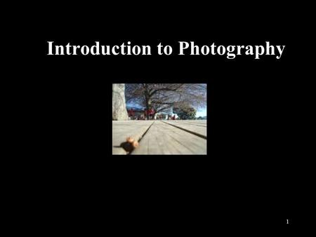 Introduction to Photography