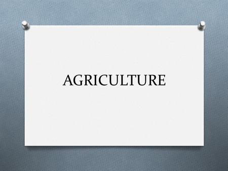 AGRICULTURE. The Beginning O Neolithic Revolution O Changes to life include: O Reliable food supplies, Increase in total human population, Job Specialization,