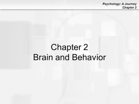 Chapter 2 Brain and Behavior