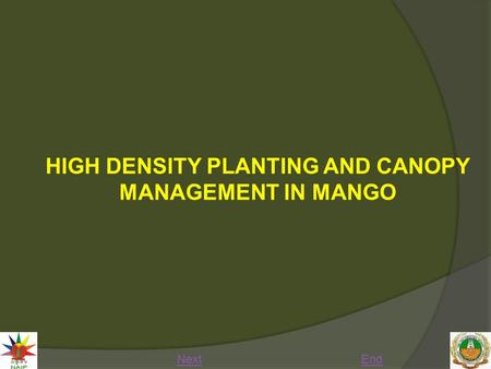 HIGH DENSITY PLANTING AND CANOPY MANAGEMENT IN MANGO