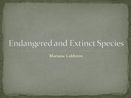 Mariana Calderon. Common name: West African Black Rhino Scientific name: Diceros Bicornis Longipes Habitat: Desserts, grasslands, and forests. Cause of.